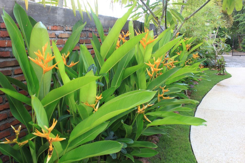 Albany Home Stay Kuta (Lombok) Exterior foto
